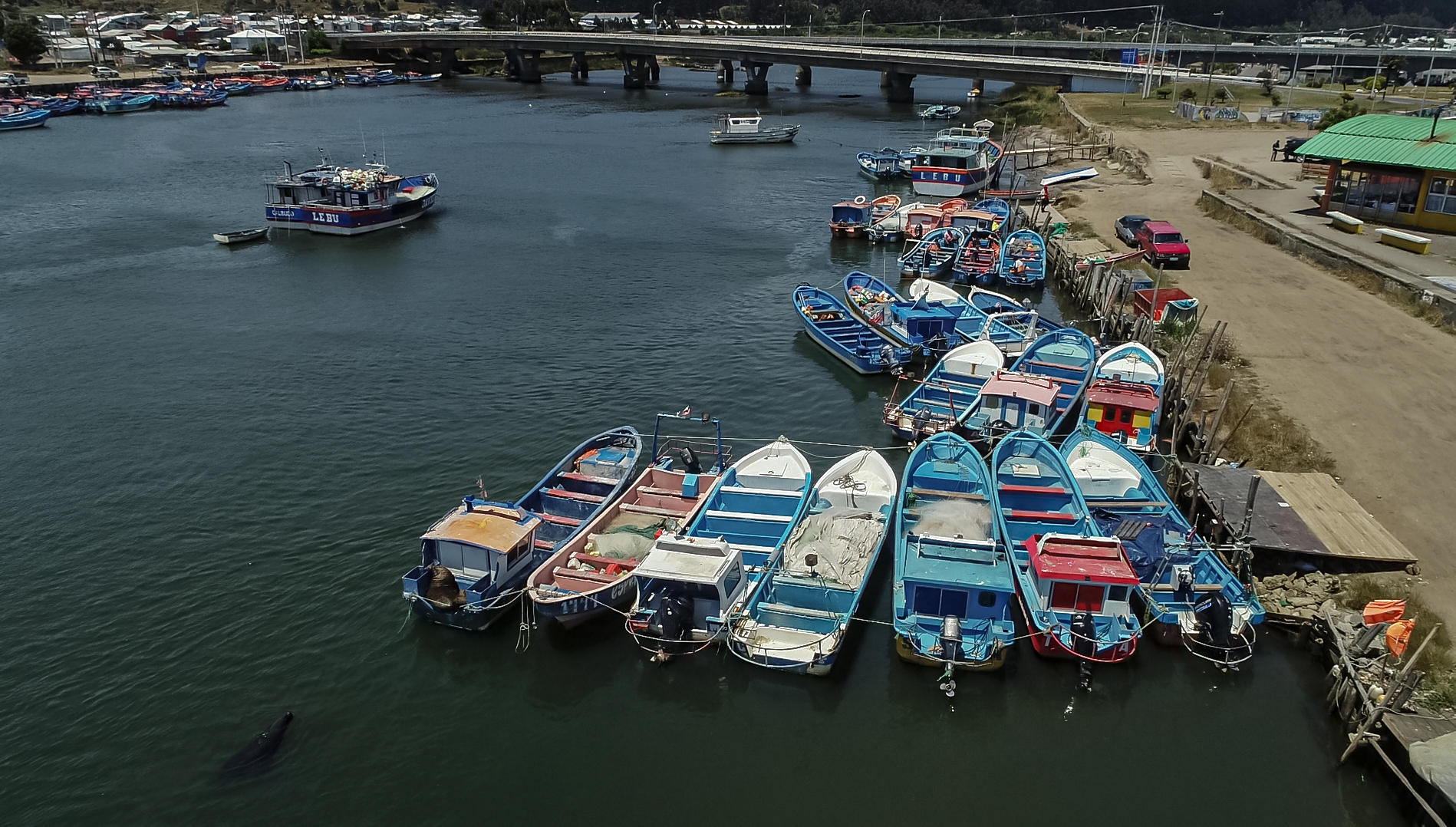 Galería de Fotos - Lebu - Image 1