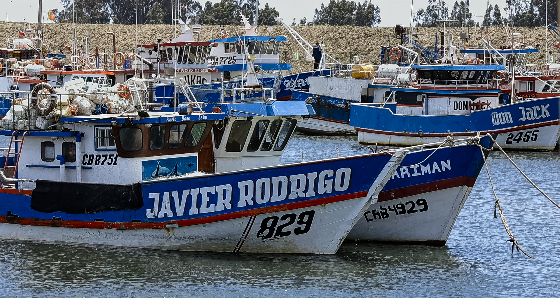 Galería de Fotos - Lebu - Image 2
