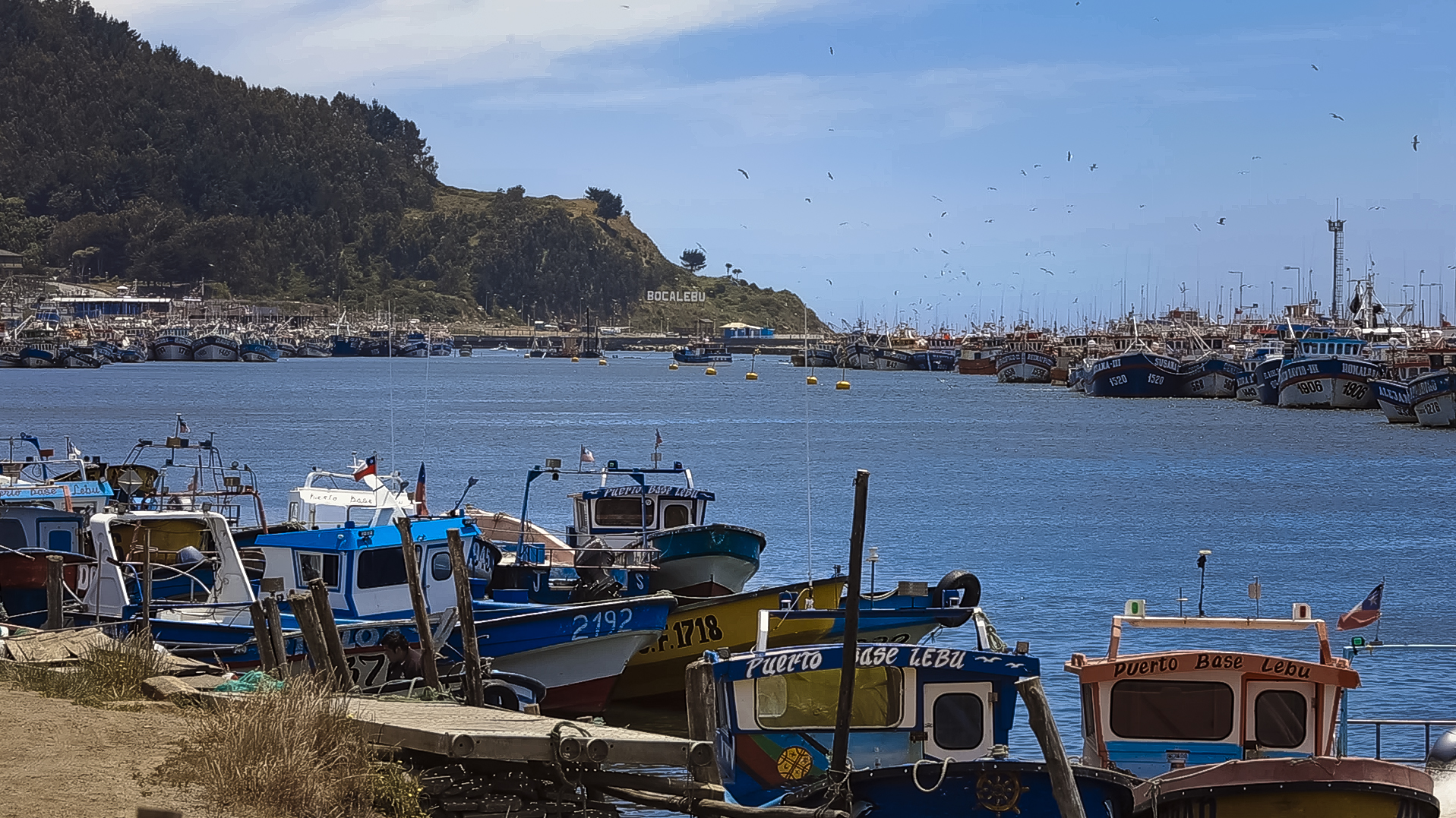 Galería de Fotos - Lebu - Image 3